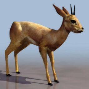 3д модель антилопы-оленя Блэкбак
