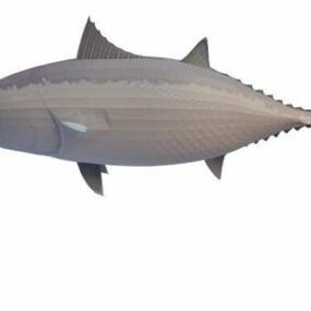 Mô hình 3d cá ngừ vây đen