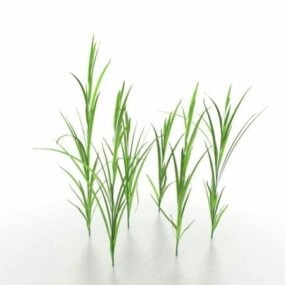 Brins d'herbe modèle 3D