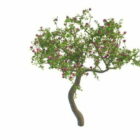 Blühender Blumenbaum