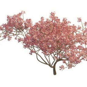 Blooming Peach Tree 3d-modell