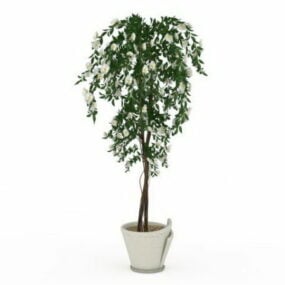 Blooming Potted Tree 3d model