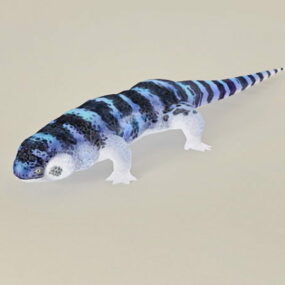 Blue & Black Lizard 3d model