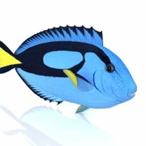 Blue Fish Animal 3d model