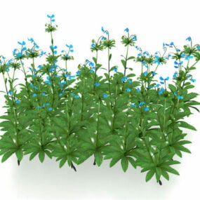 דגם תלת מימד של צמחי פרחים כחולים