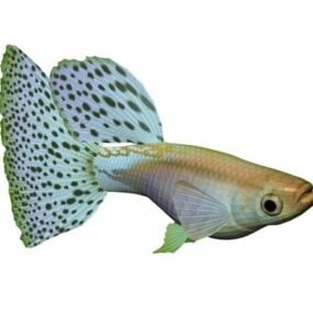 Modelo 3d de animal de peixe guppy de grama azul