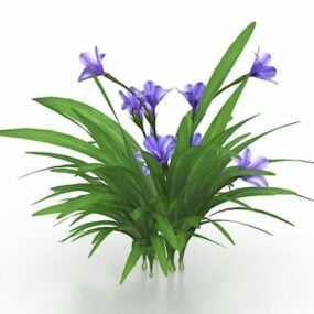 Blue Orchid Flower 3d model