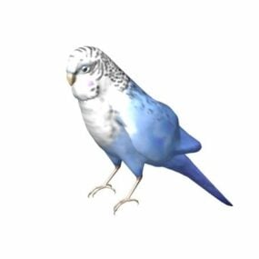 Animal Blue Parakeet דגם תלת מימד