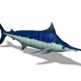 Model 3d Ikan Todak Biru Laut