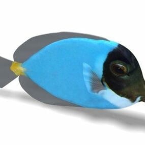 Model 3d Hewan Ikan Tropis Biru