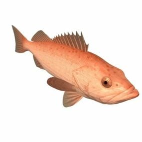 보카치오 볼락 물고기 동물 3d 모델