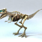 Kostní Tyrannosaurus Rex