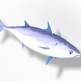 Remora Shark Fish 3d-malli