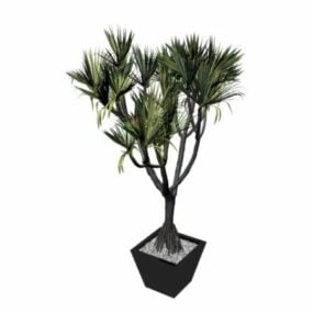 Modelo 3d de pinheiro de aro em vaso de bonsai