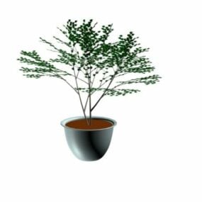 Modelo 3d da árvore bonsai