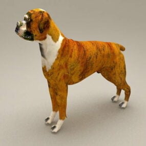 बॉक्सर कुत्ता पिल्ला 3डी मॉडल