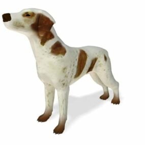 3д модель животного Bracco Italiano Dog Animal