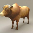 Brahman Bull Cattle Animal