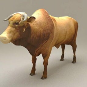 ブラフマン牛牛動物3Dモデル