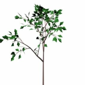 Branches And Leaves 3d model