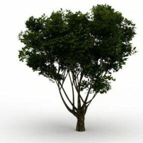 Branching Tree 3d model