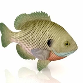 نموذج حيوان سمك الدنيس ثلاثي الأبعاد