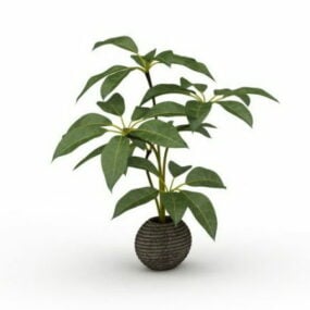 Bred blad potteplanter 3d-modell
