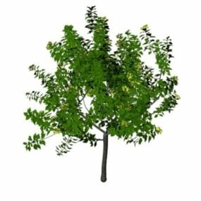 Broad-leaved Tree 3d model