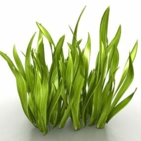 Broadleaf Grass Weeds 3d-model