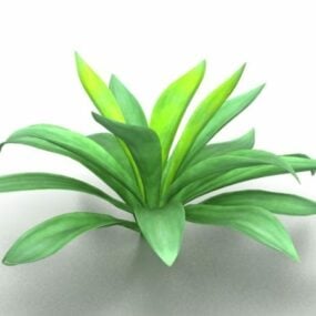 3д модель широколиственного растения