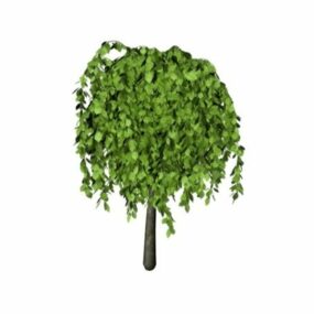 Broadleaf Tree 3d model