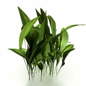 Modelo 3d de planta de ervas daninhas de folha larga