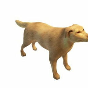 Mô hình 3d động vật chó Broholmer