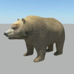 3д модель бурого медведя