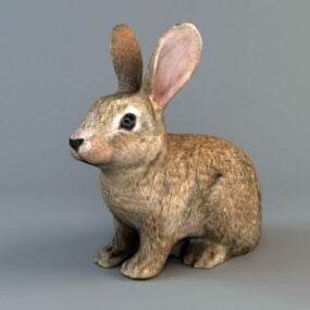 Model 3D brązowego królika