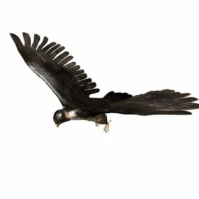 3D model zvířete Brown Falcon