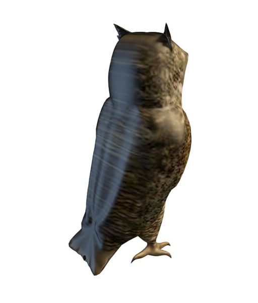 Brown Owl Bird Animal