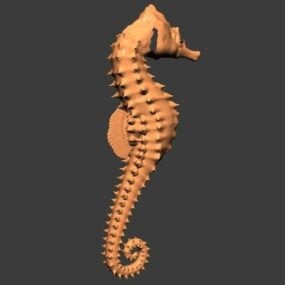 Brown Seahorse Animal 3d model