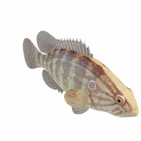 Brown Striped Fish Animal 3d model
