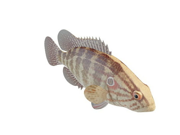 Animale di pesce a strisce marrone