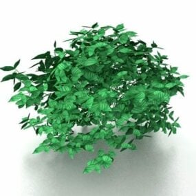 茂み低木3Dモデル