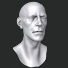 Bust Of Man Character