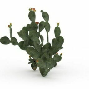 Τρισδιάστατο μοντέλο κάκτου φυτών στο τραπέζι