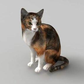 印花布猫动物3d模型
