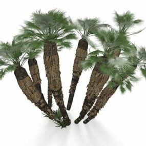 California Palm Trees 3d model