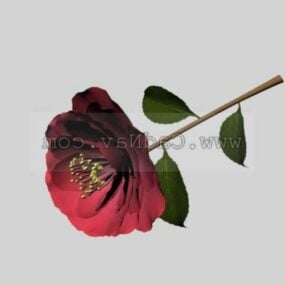 Camellia Flower Plant 3d model