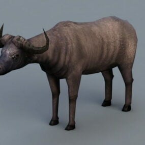Model 3D Cape Buffalo