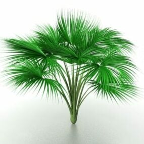 Cat Palm Tree 3d model