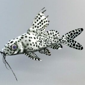 Catfish Animated Rig דגם תלת מימד
