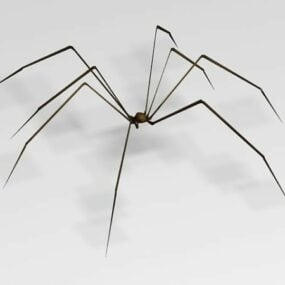 Mô hình 3d động vật nhện
